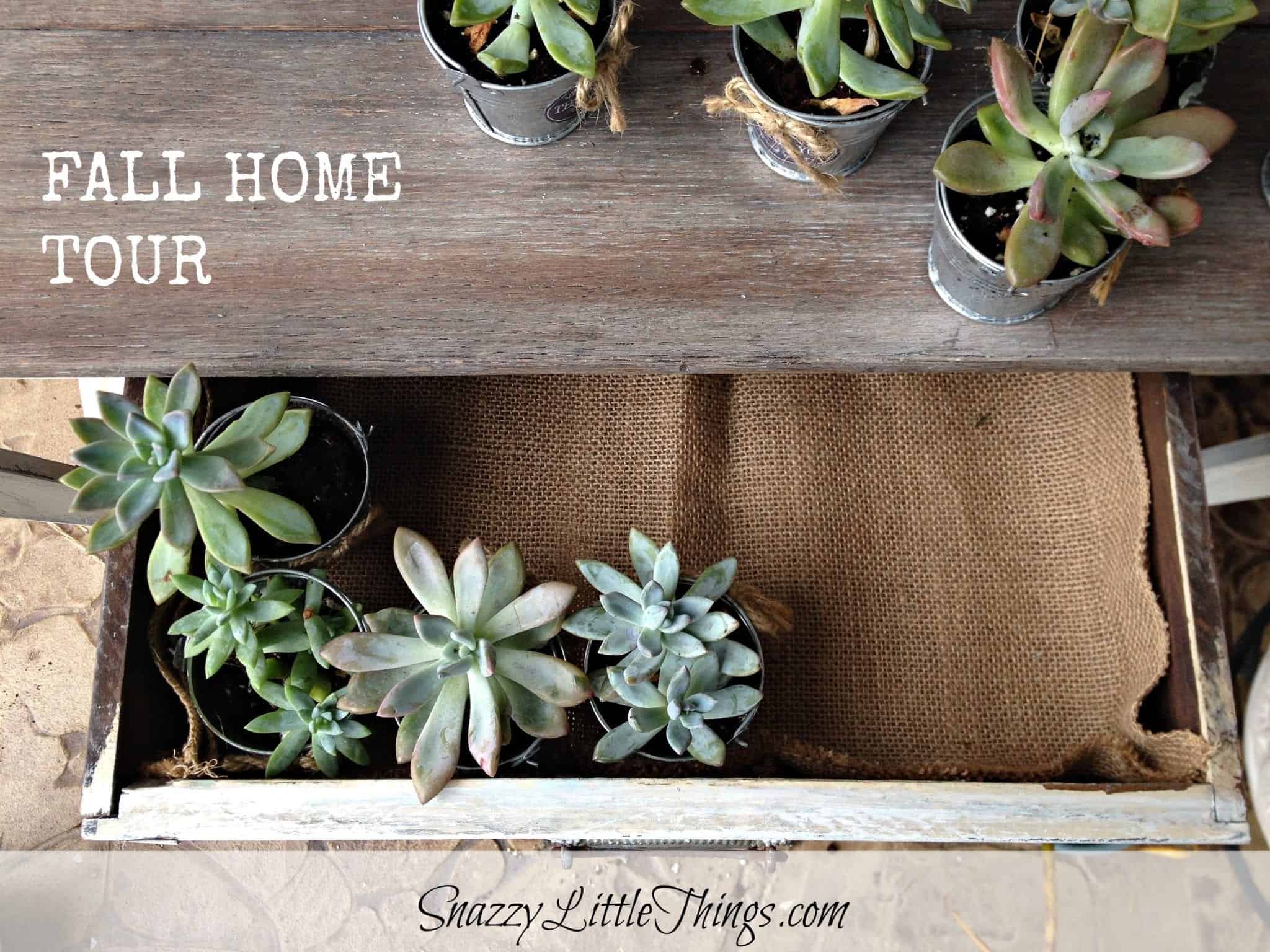 Snazzy Painted Planter Pots