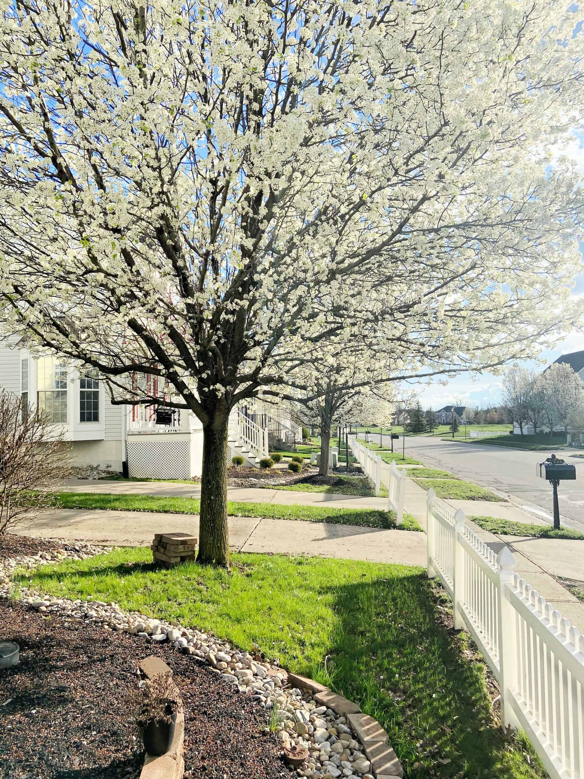 Spring Porch Tour in Full Bloom